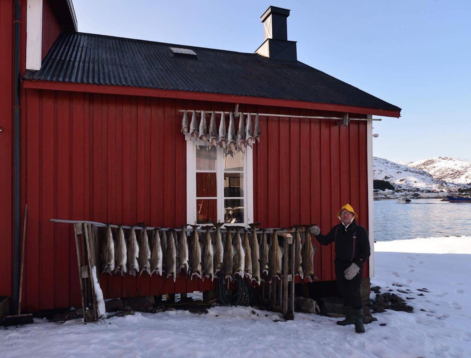 Naustplassen Rorbuer Ballstad Exterior foto